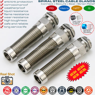 Pressacavo forskruning spirale PG in acciaio inossidabile AISI316L, AISI316, AISI304 (IP68) con coda flessibile