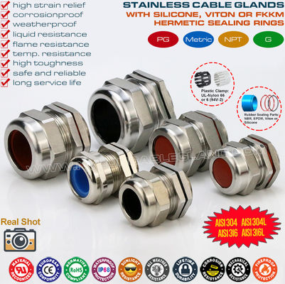 Pressacavi PG in acciaio inox 304, 316, 316L, pressacavi metallici stagni IP68 con guarnizioni in fluoroelastomero